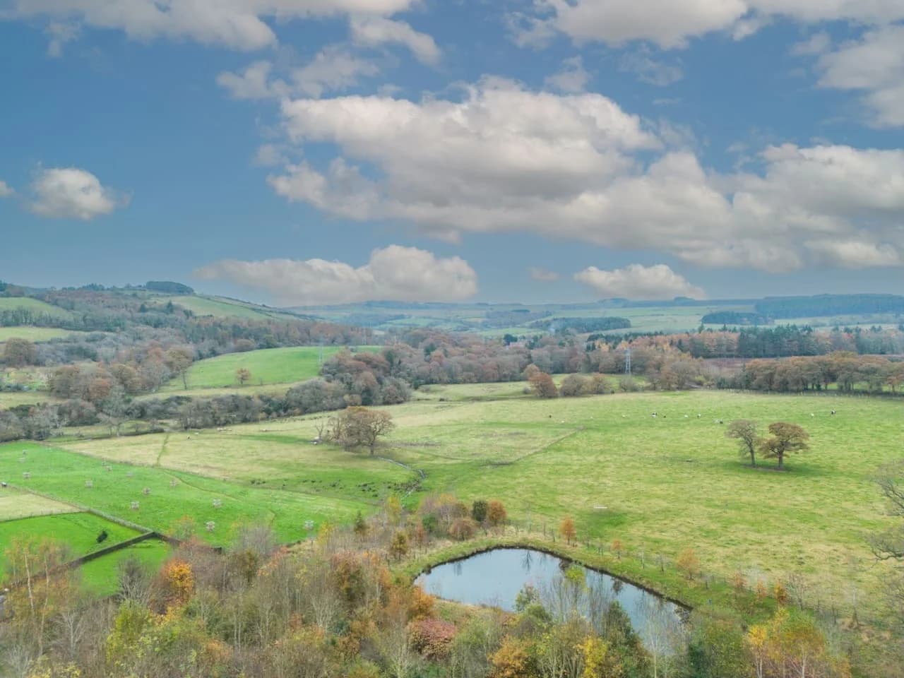 Rolling countryside views with a wildlife pond at the heart
