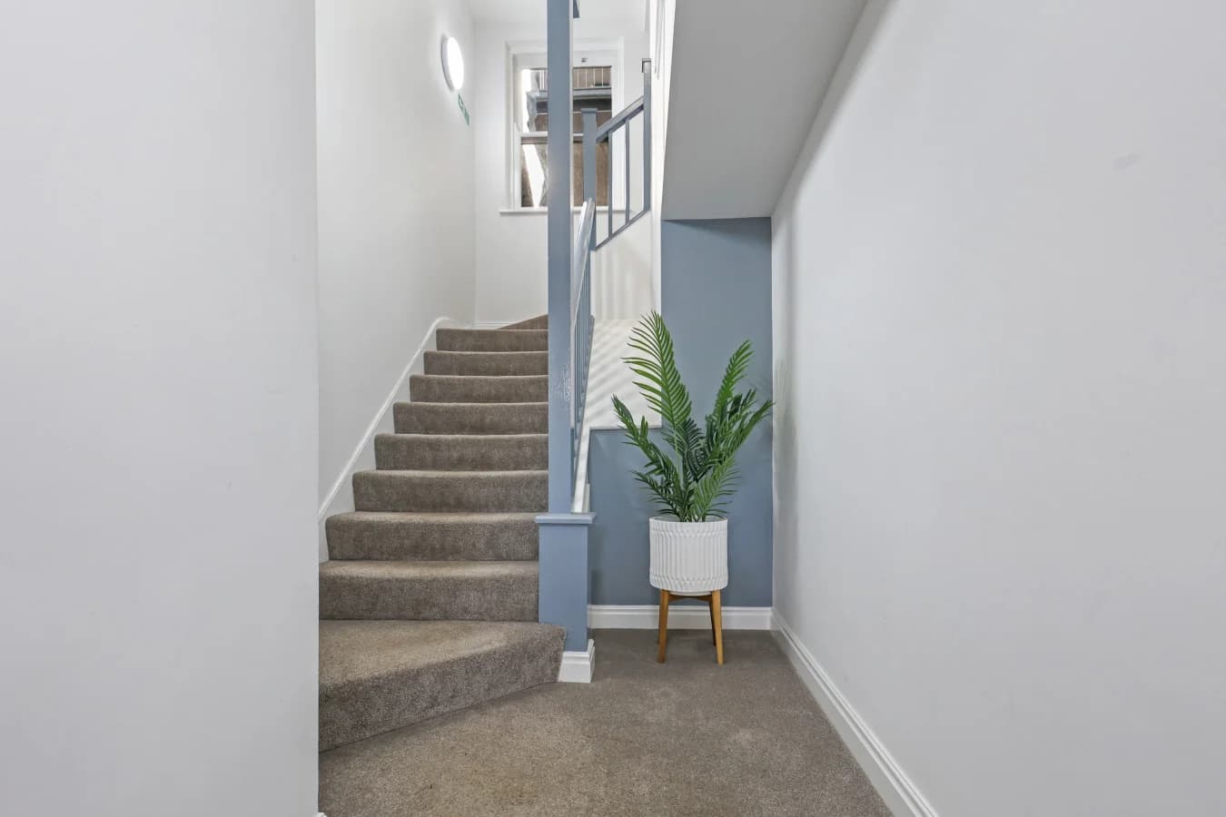 Carpeted stairway leading to apartments within The Tea Warehouse