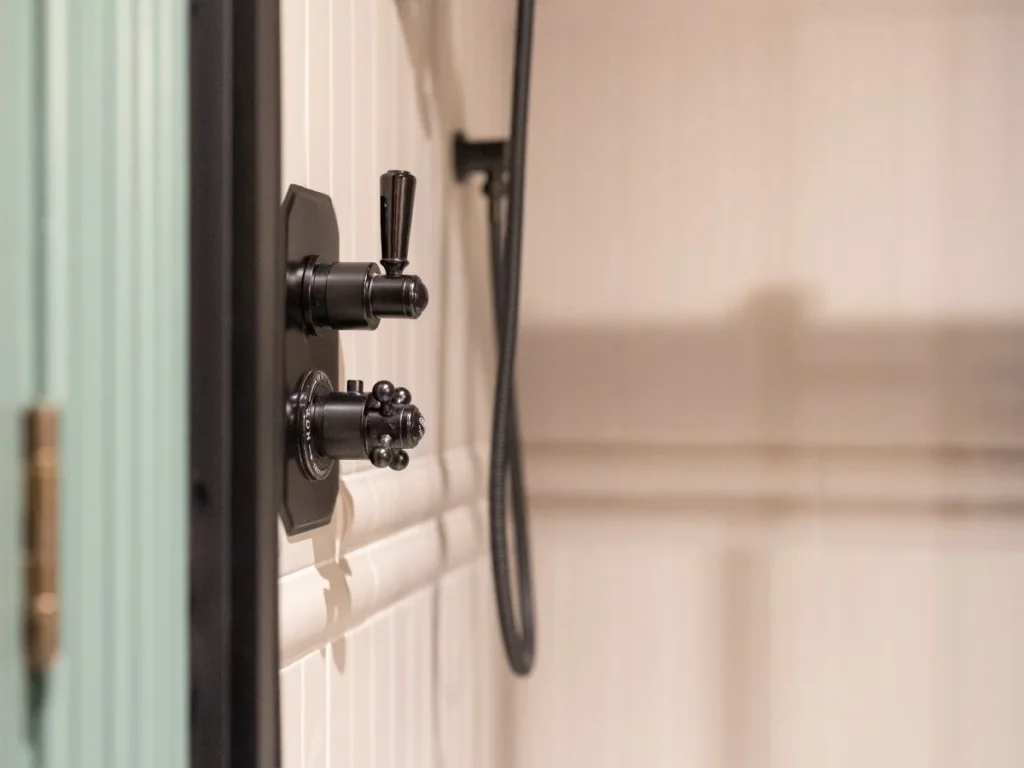 Close-up of the black shower controls and handheld shower fitting.