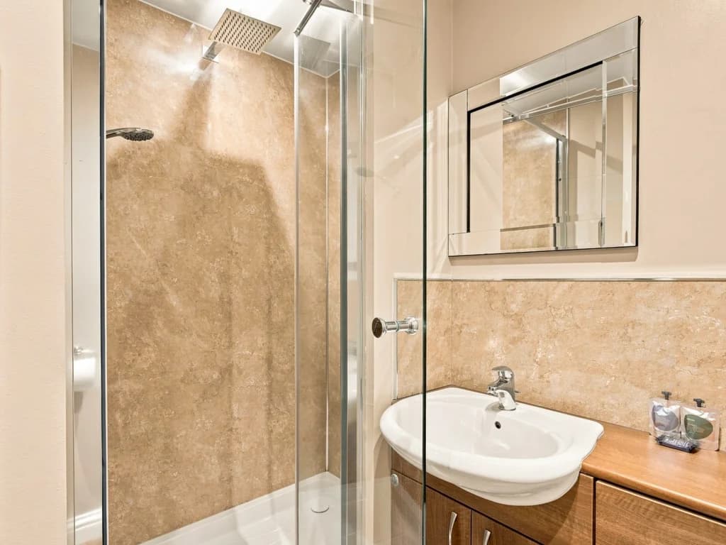 En-suite shower room with walk-in shower and mirrored cabinet.