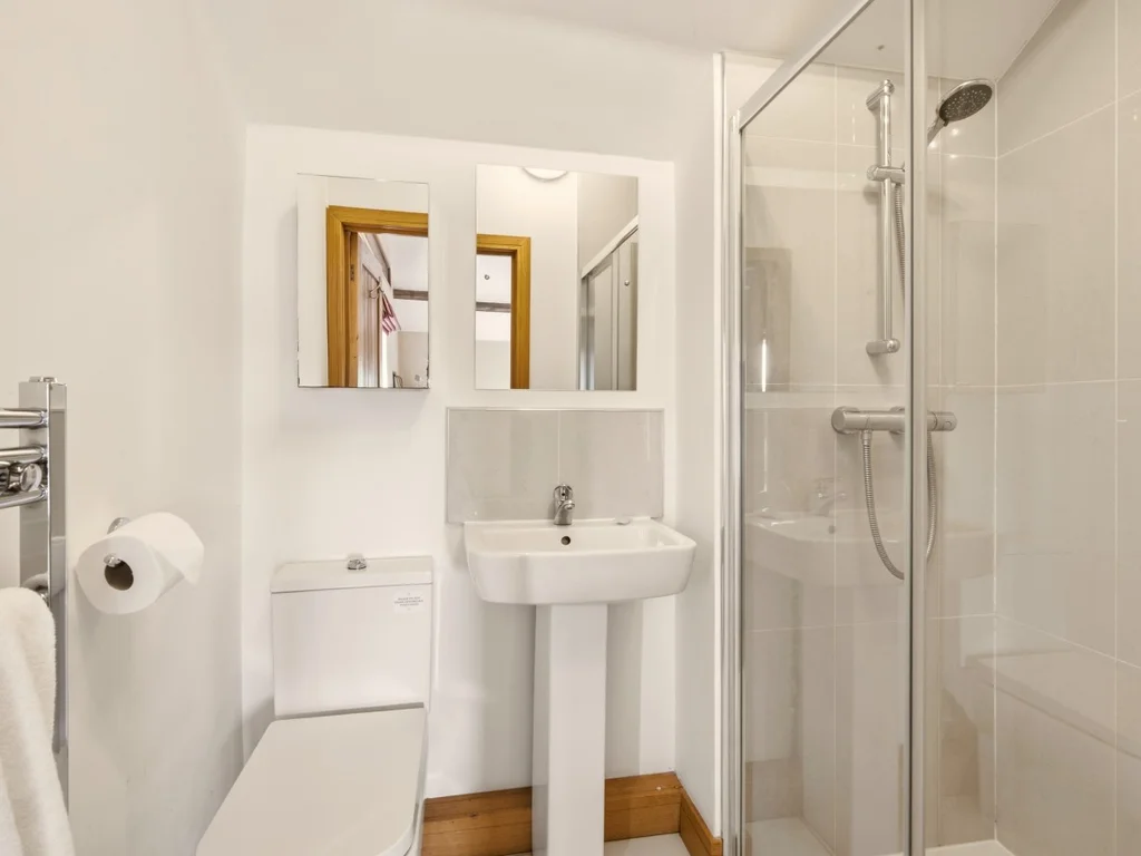 Bright en-suite with glass shower, WC, wash basin and mirrored cabinet
