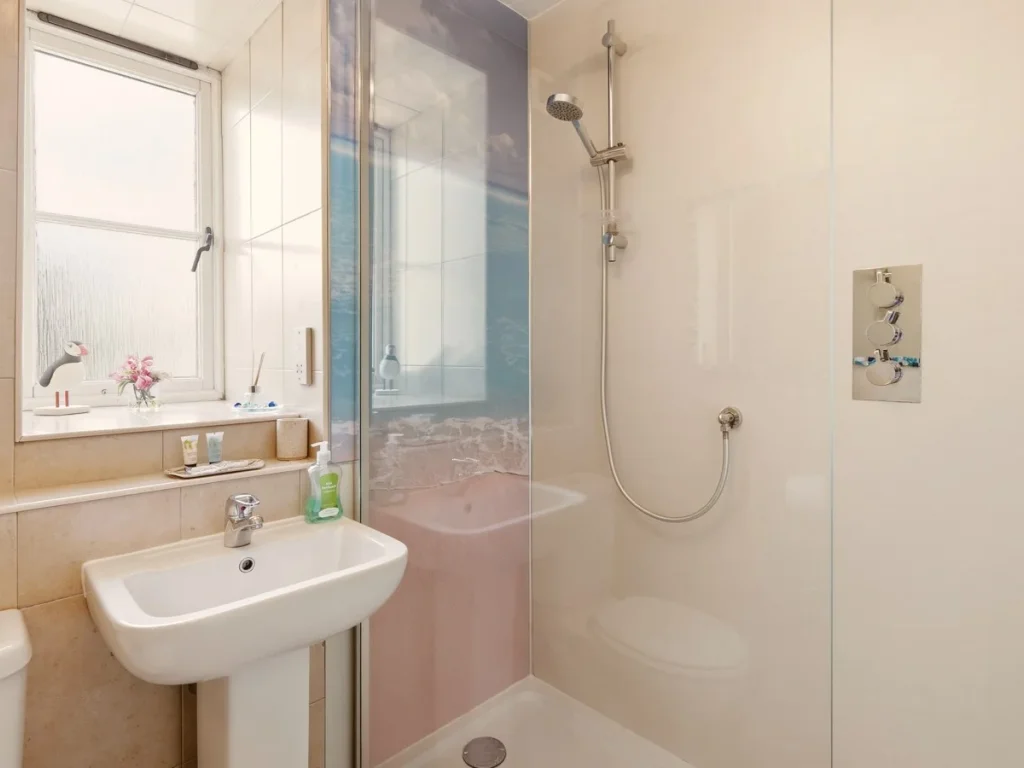 Ensuite bathroom with walk-in shower, basin and natural light