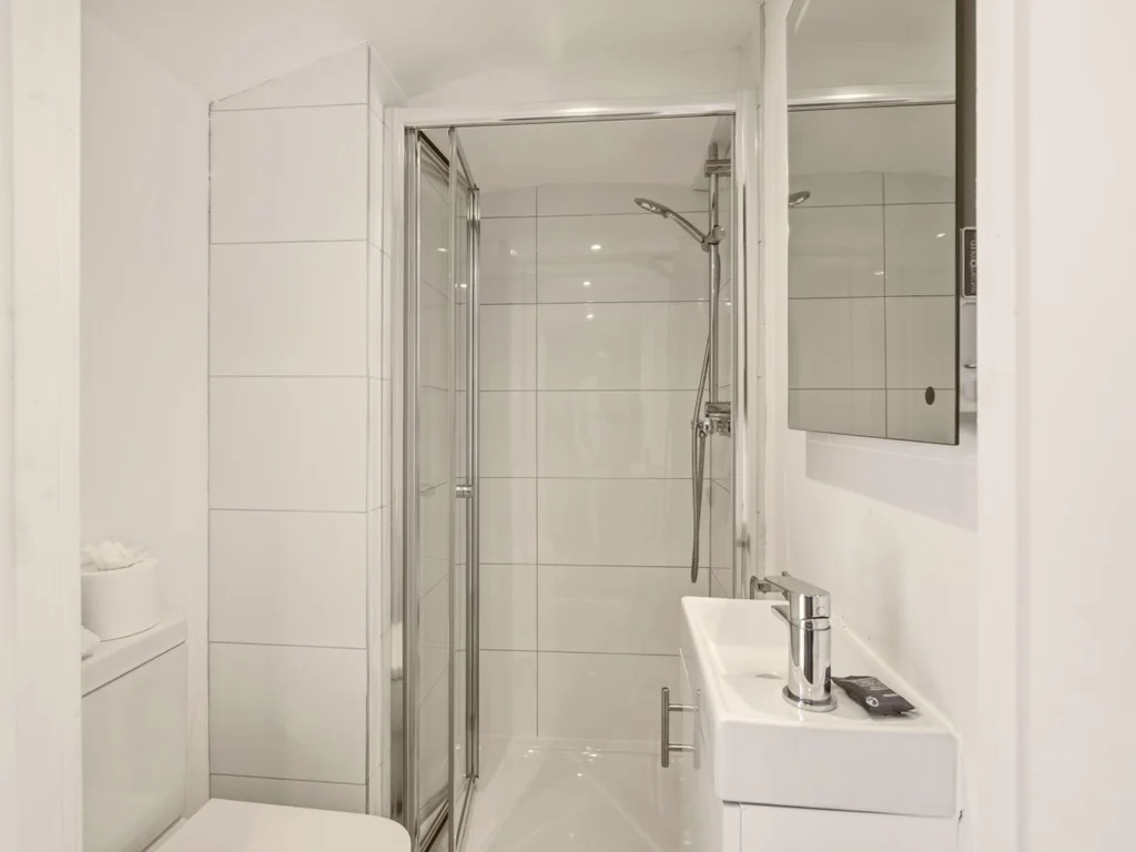 Shower room with corner enclosure, vanity basin and mirrored cabinet.