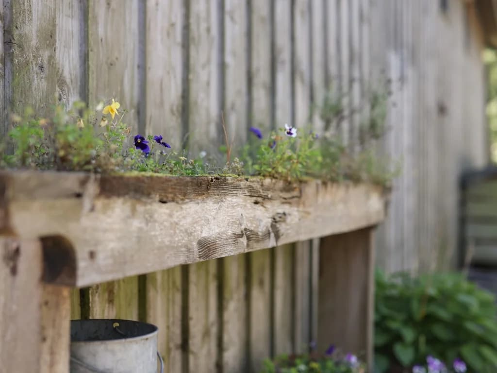 Rustic timber planter with colourful flowers beside the cottage