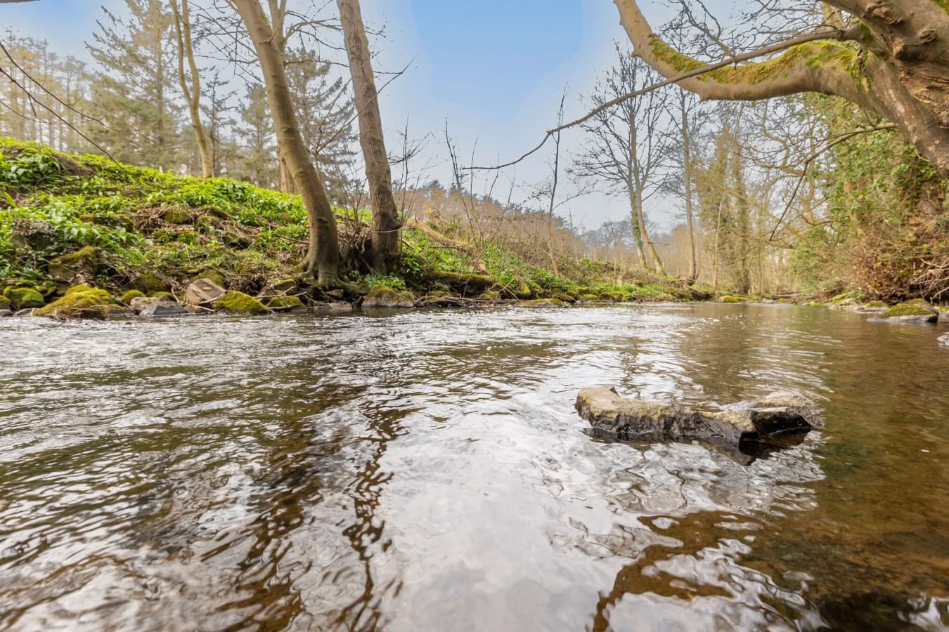 Waren Burn flowing through the woodland beside the cottages