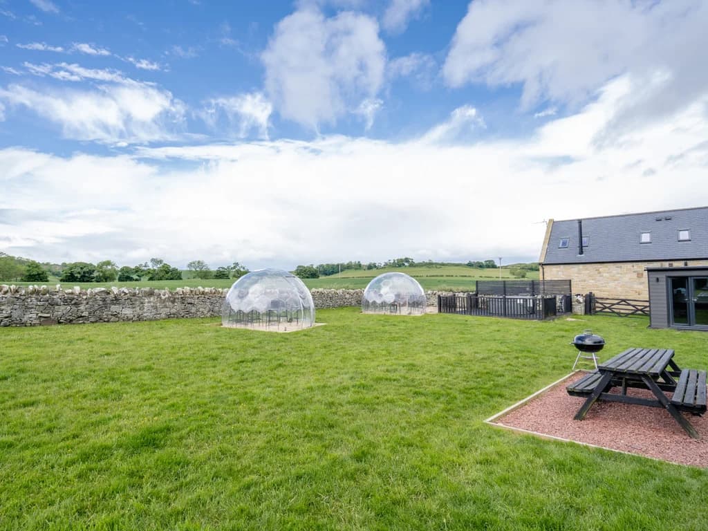 Communal paddock with dining dome, picnic bench and open skies