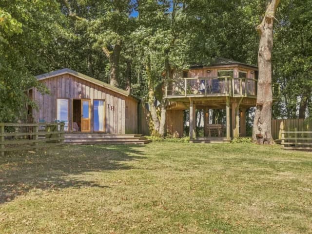 The Tree House