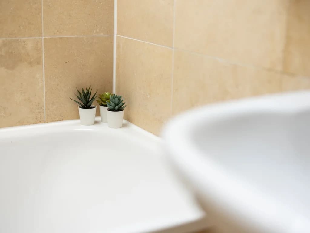 Bath with beige tiled surround and decorative potted succulents