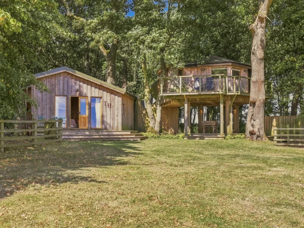The Treehouse