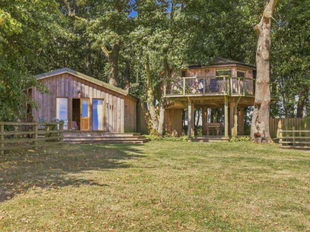 The Treehouse
