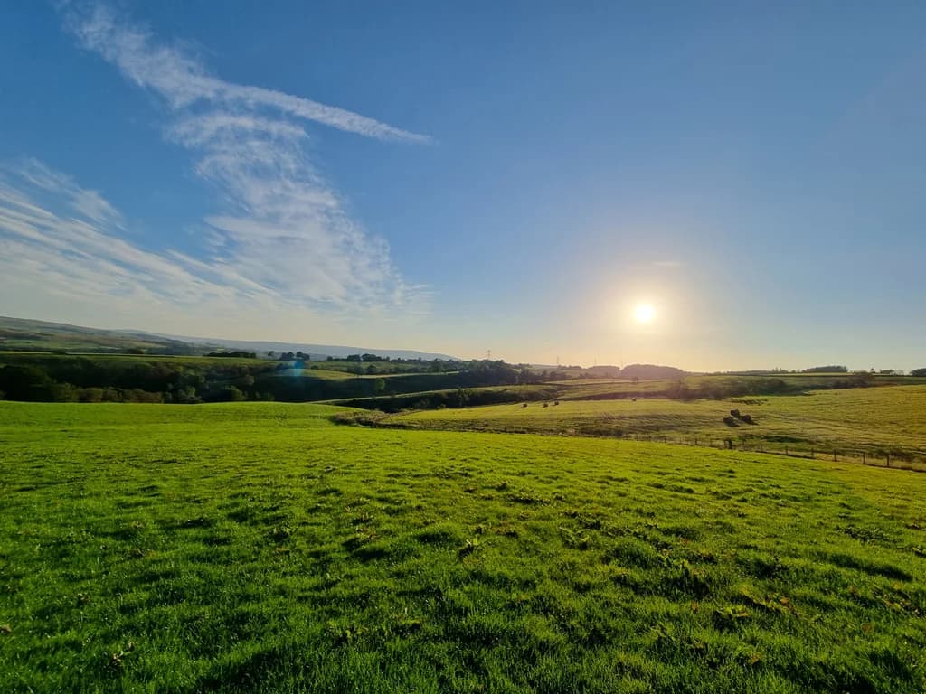 Local Countryside
