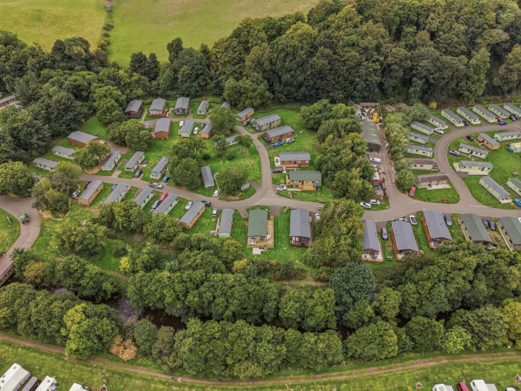 Woodland setting surrounding the lodges and winding park roads