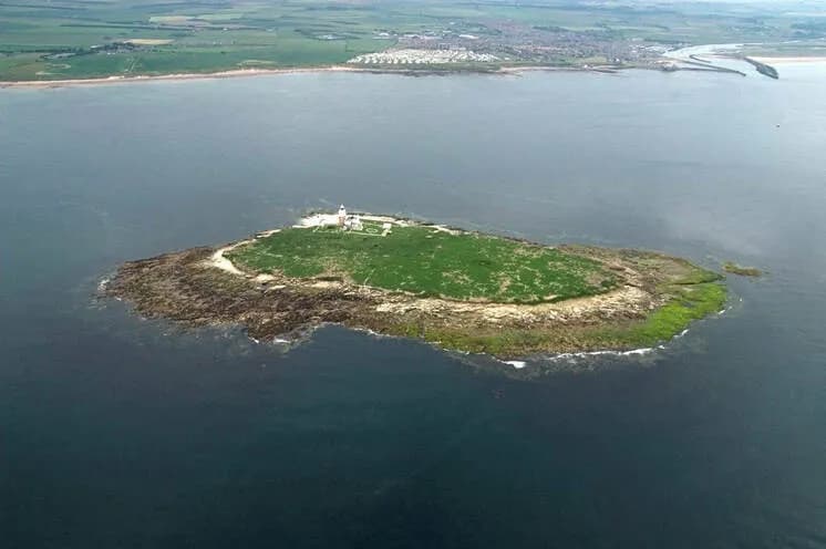 Coquet Island