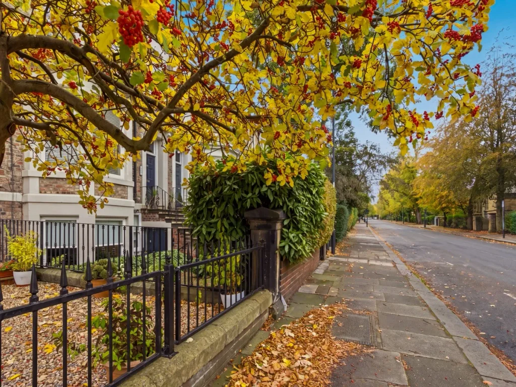 Leafy street outside The Garden Flat in residential Jesmond