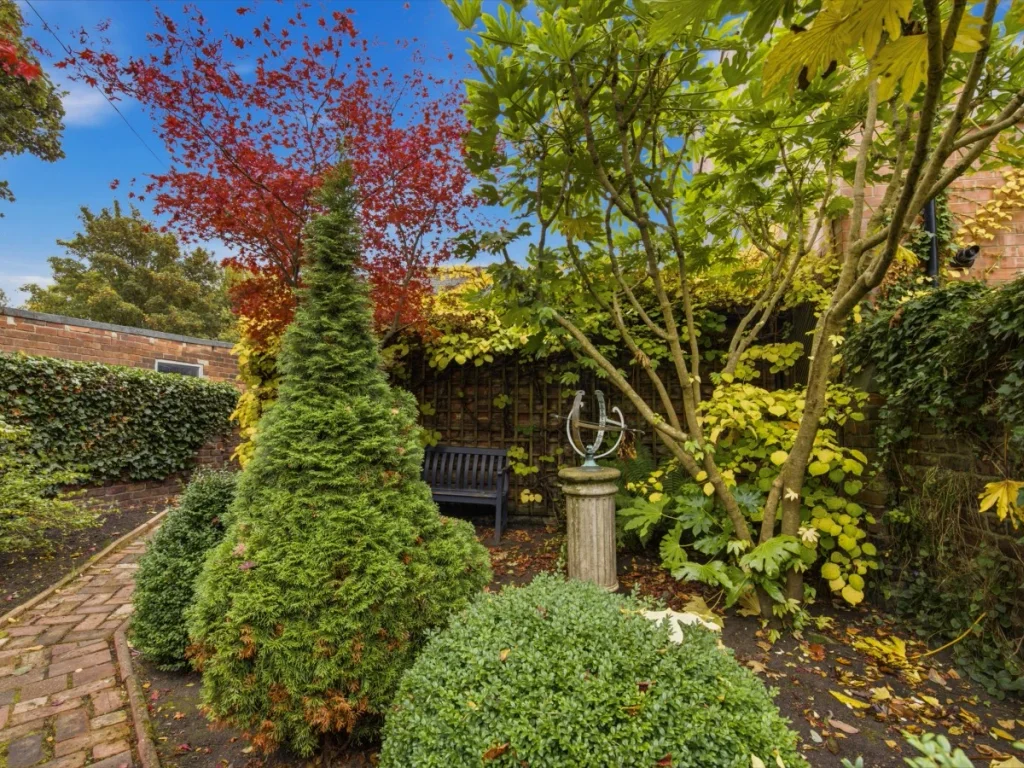 Landscaped garden with a winding path and established greenery