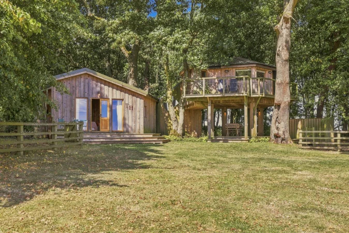 Woodland setting surrounding The Treehouse and its raised balcony