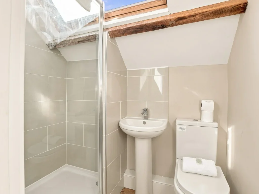 En-suite shower room with skylight, wash basin and WC