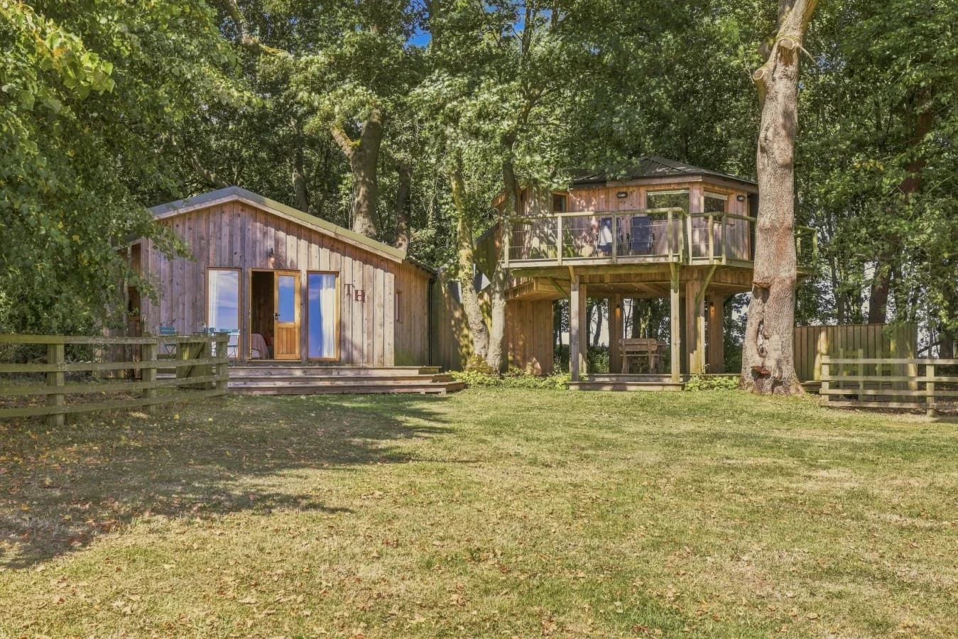 Woodland setting surrounding The Treehouse and its raised balcony